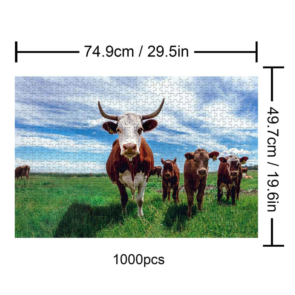 Cows on the Grassland 1000 piece puzzle featuring brown and white cows in green fields under a blue sky.