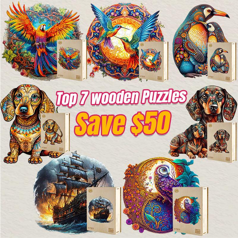 2024 Top 7 Wooden Puzzles Bundle in One Package