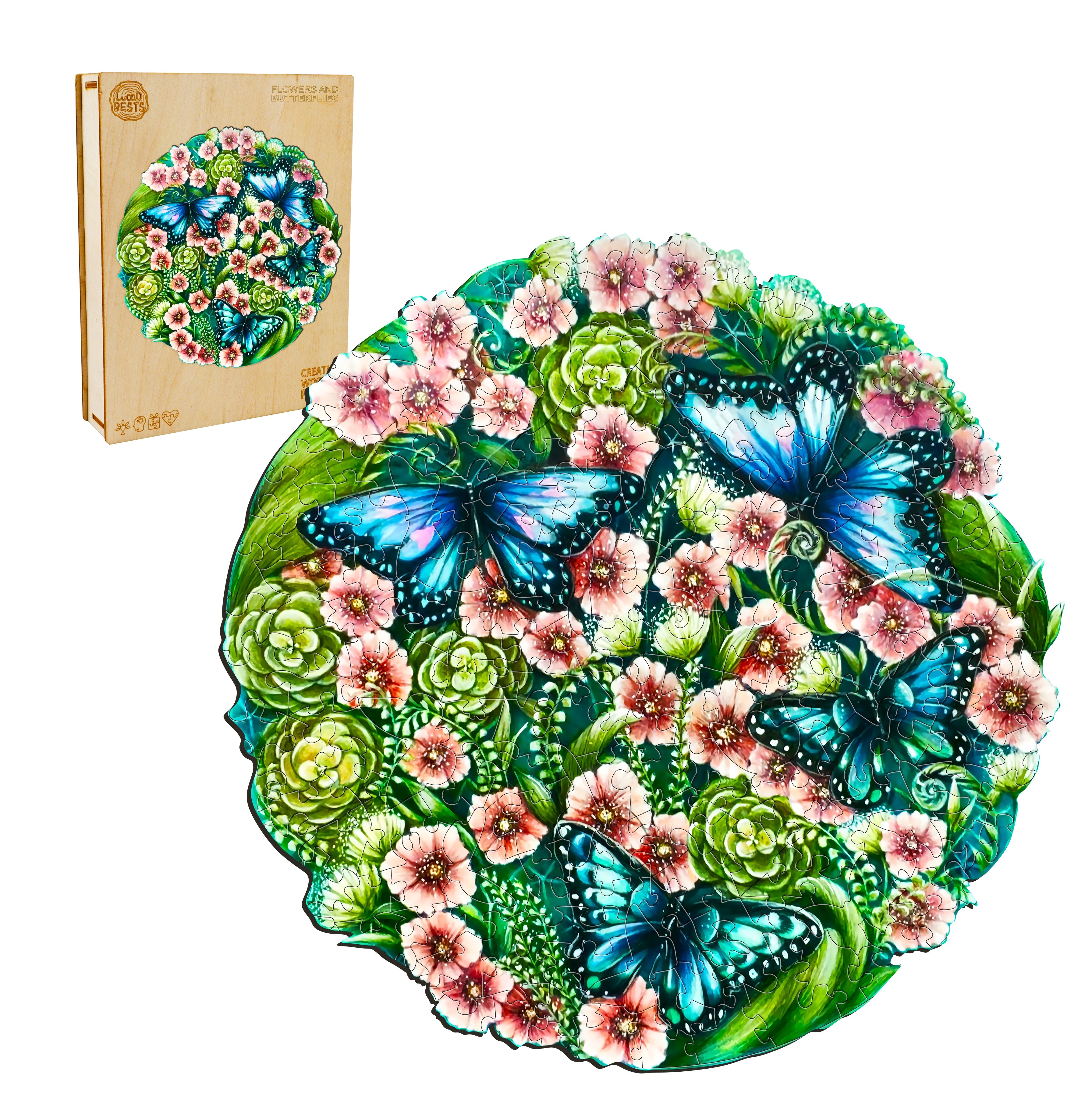 Flowers And Butterflies
