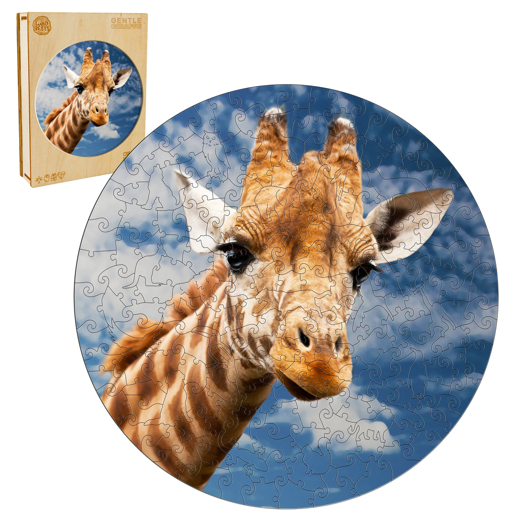 Gentle Giraffe