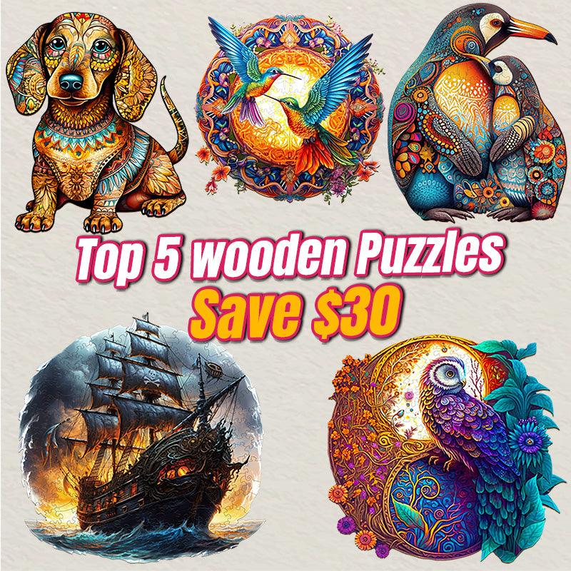 2024 Top 5 Wooden Puzzles Bundle in One Package