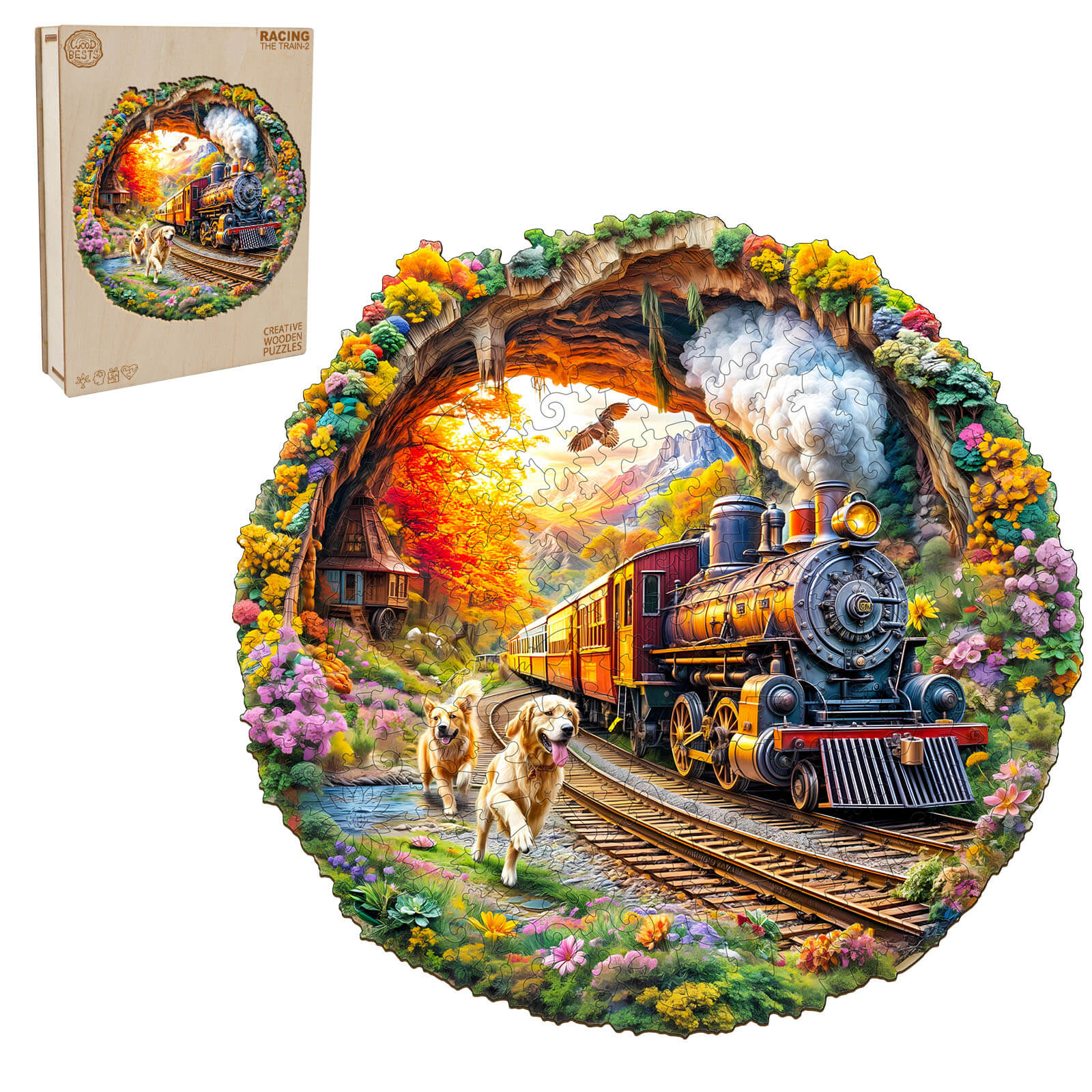 3D Racing the Train-2 Wooden Jigsaw Puzzle