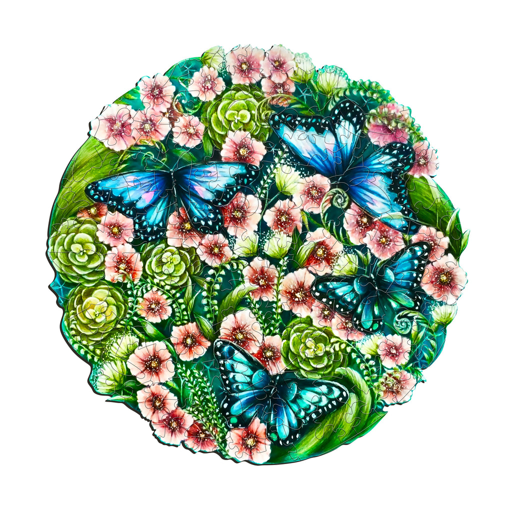 Flowers And Butterflies