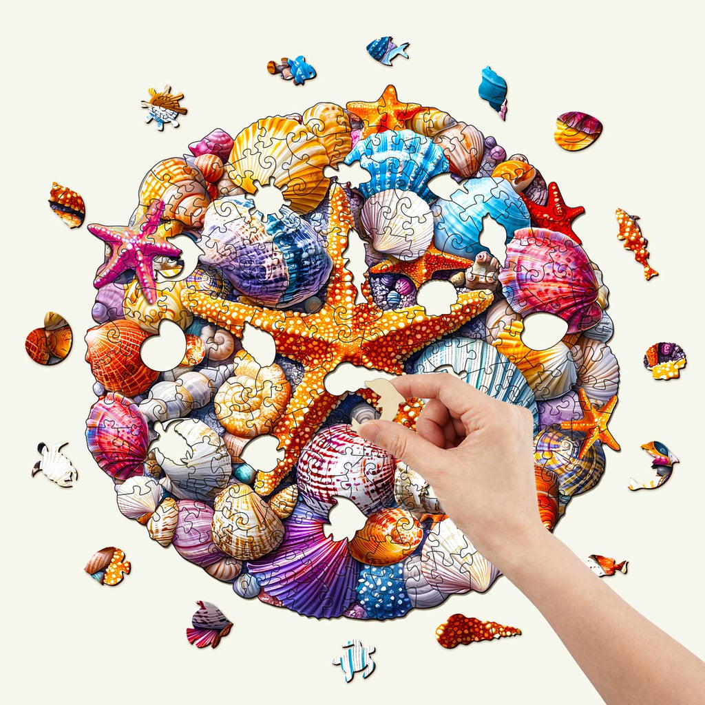 Colorful Shells Wooden Jigsaw Puzzle