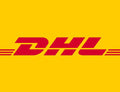 Pay the difference-DHL shipping