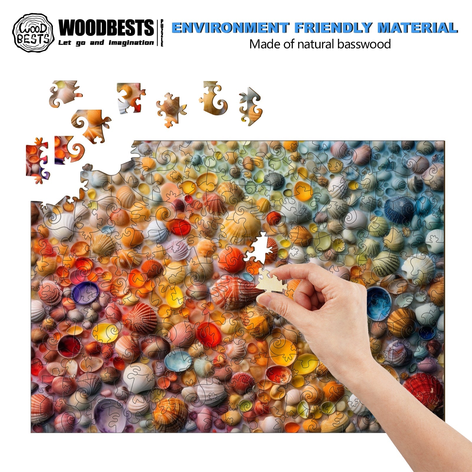 Colorful Seashells Wooden Jigsaw Puzzle