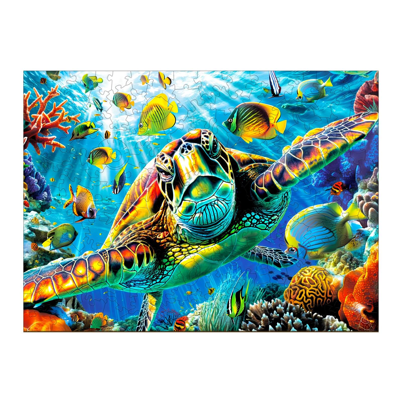 Turtle Explorer Wooden Jigsaw Puzzle