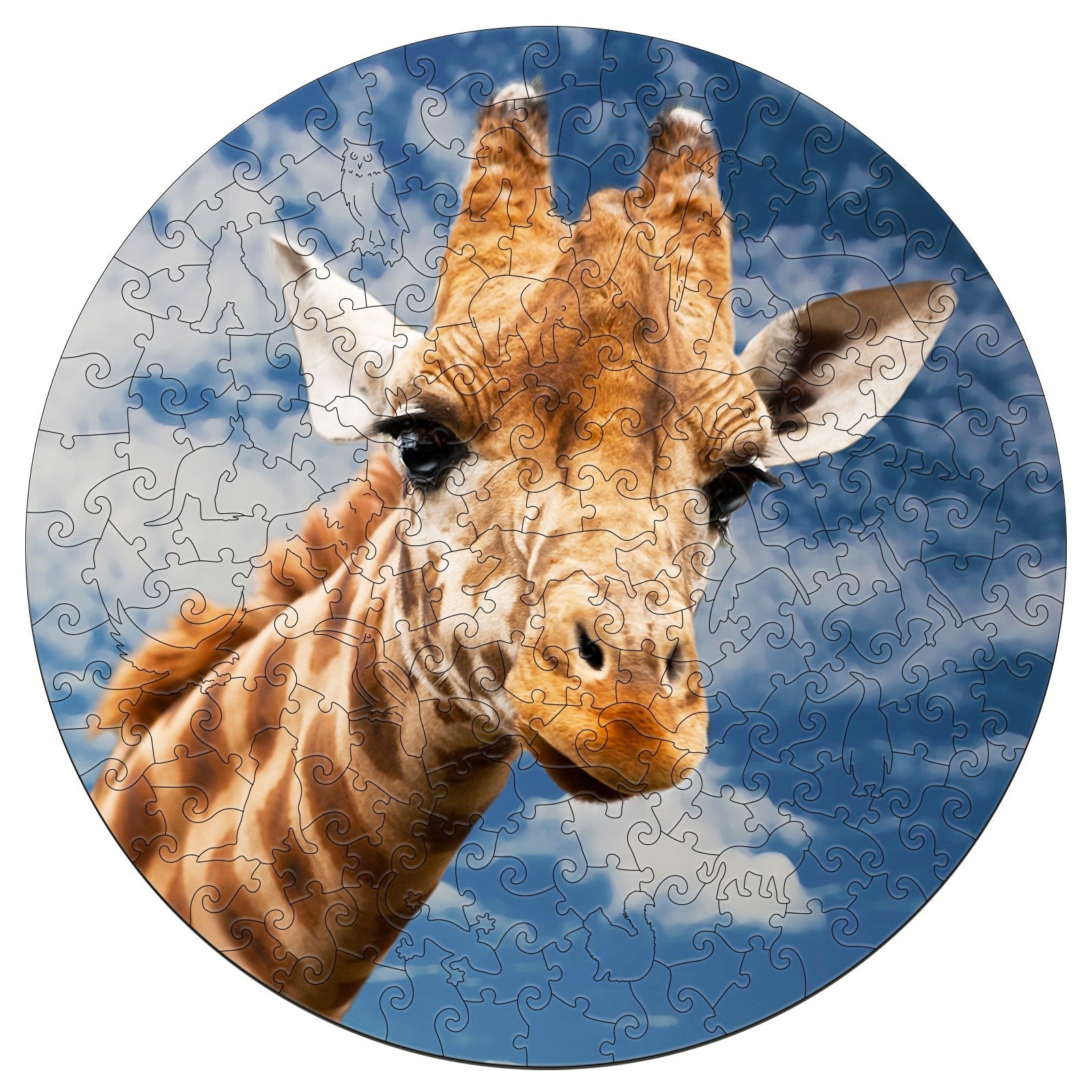Gentle Giraffe