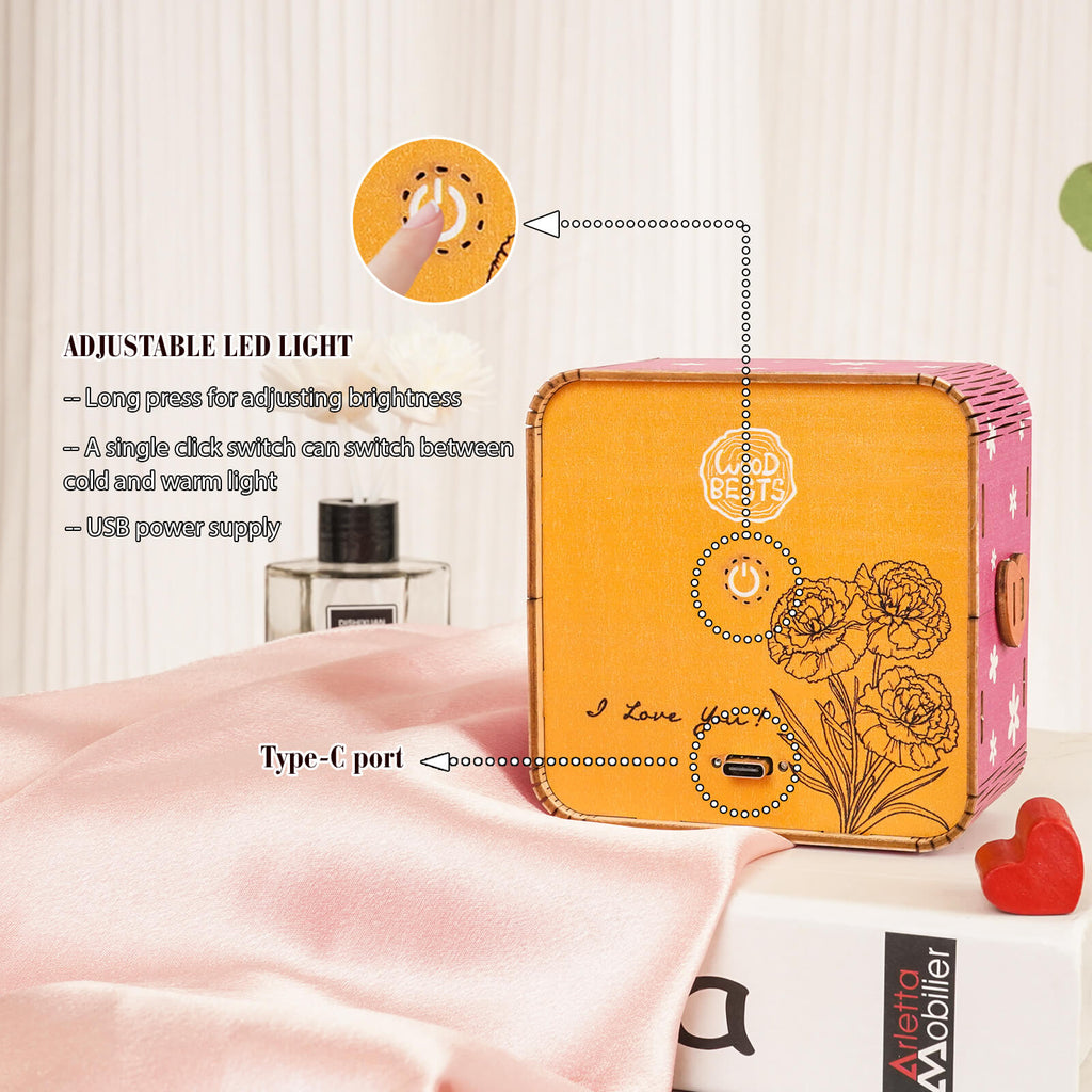 Carnations by the window Kit- Personalized 3D Wooden Puzzle Night Light
