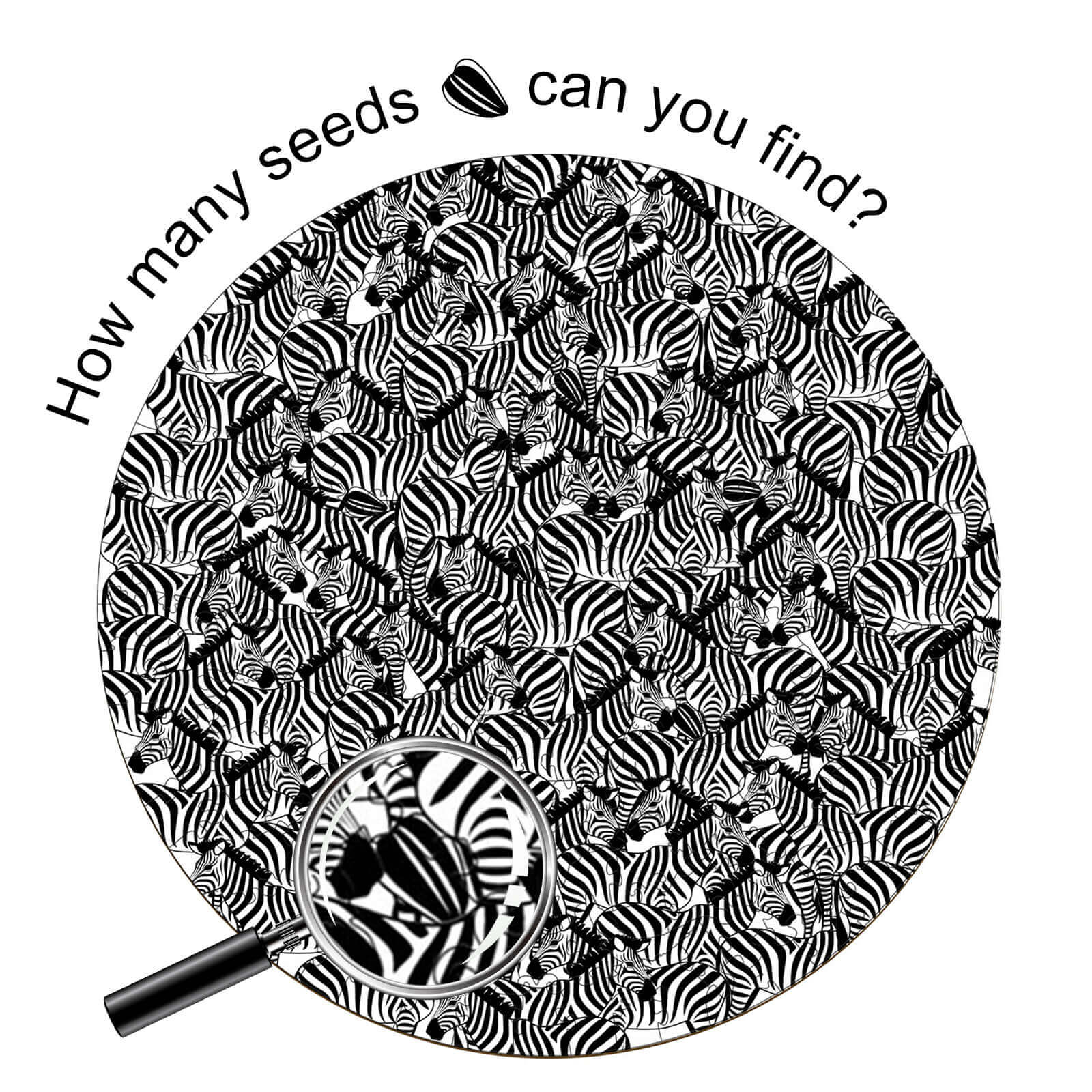seek and find Melon seeds Wooden Jigsaw Puzzle