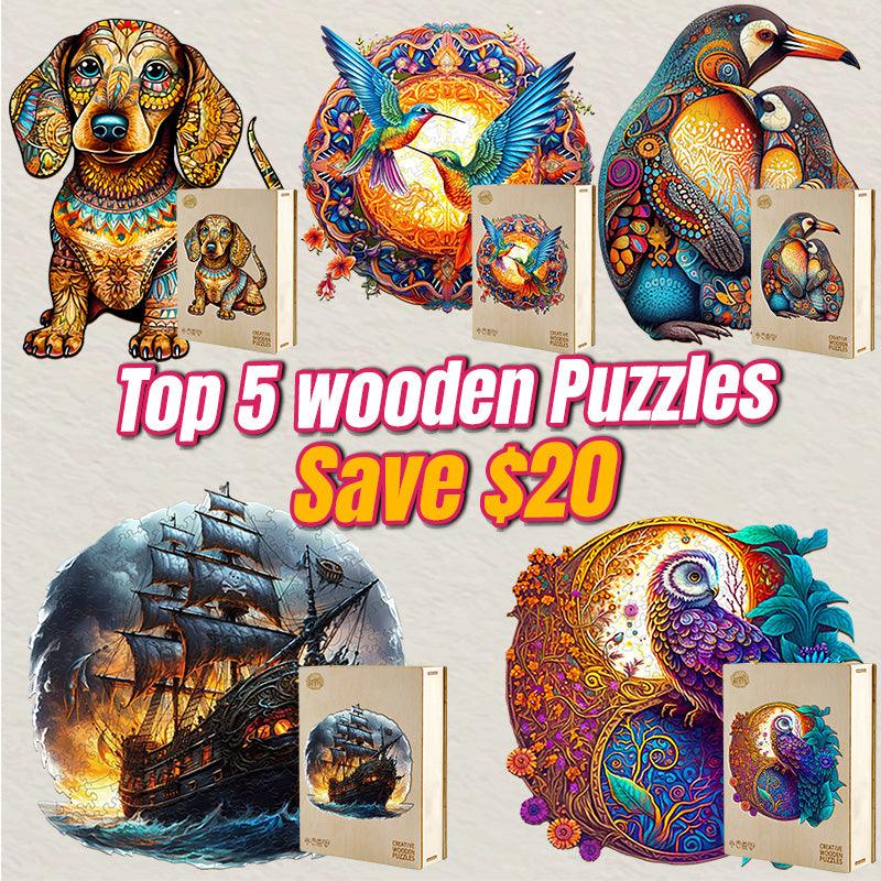 2024 Top 5 Wooden Puzzles Bundle in One Package