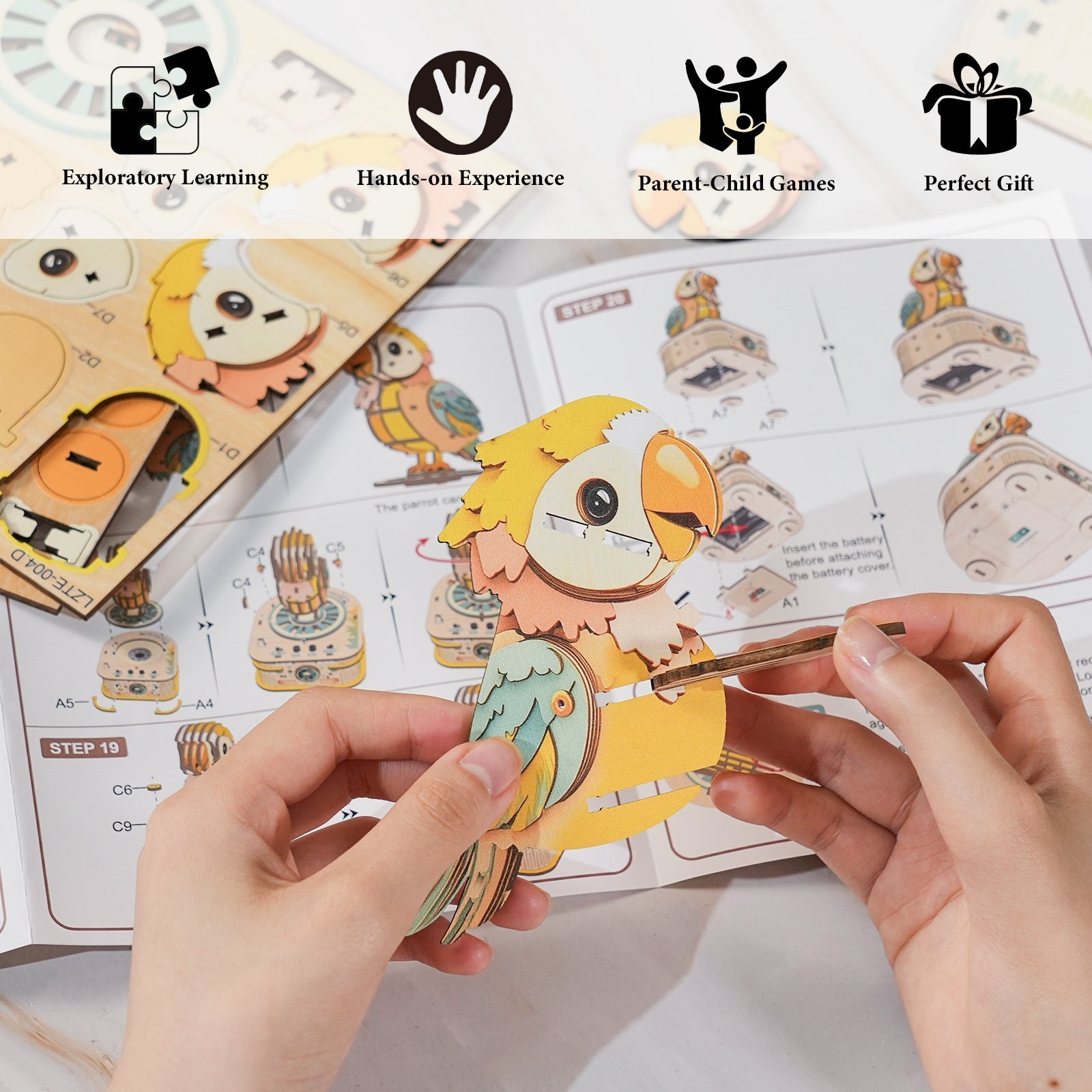 Parrot Recorder——Recorder Series