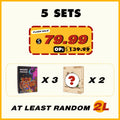5 Random Wooden Puzzles Bundle in One Package SPECIAL