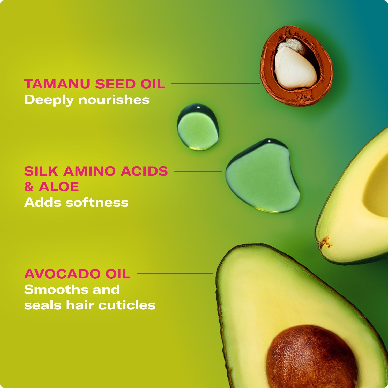 MIELLE Avocado & Tamanu Anti-Frizz Mousse