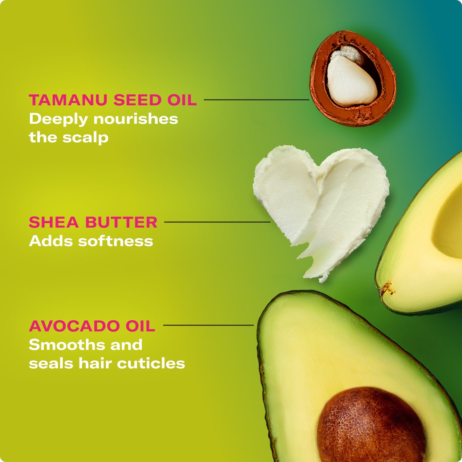 MIELLE Avocado & Tamanu Anti-Frizz Conditioner