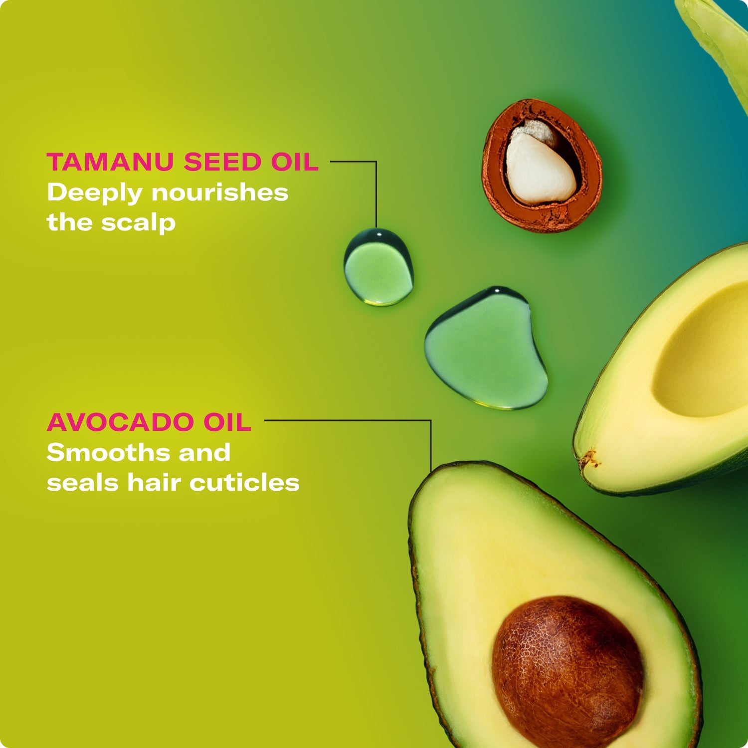 MIELLE Avocado & Tamanu Anti-Frizz Slip & Seal Leave-In Conditioner