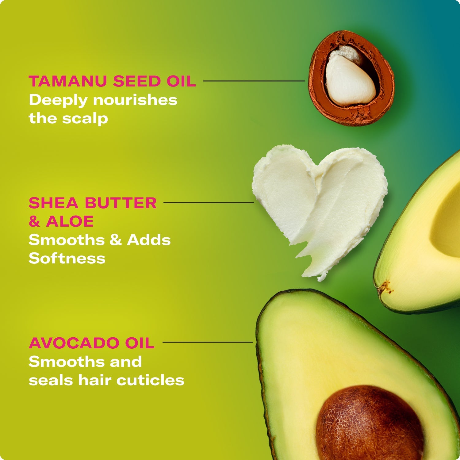 MIELLE Avocado & Tamanu Anti-Frizz Curl Perfector
