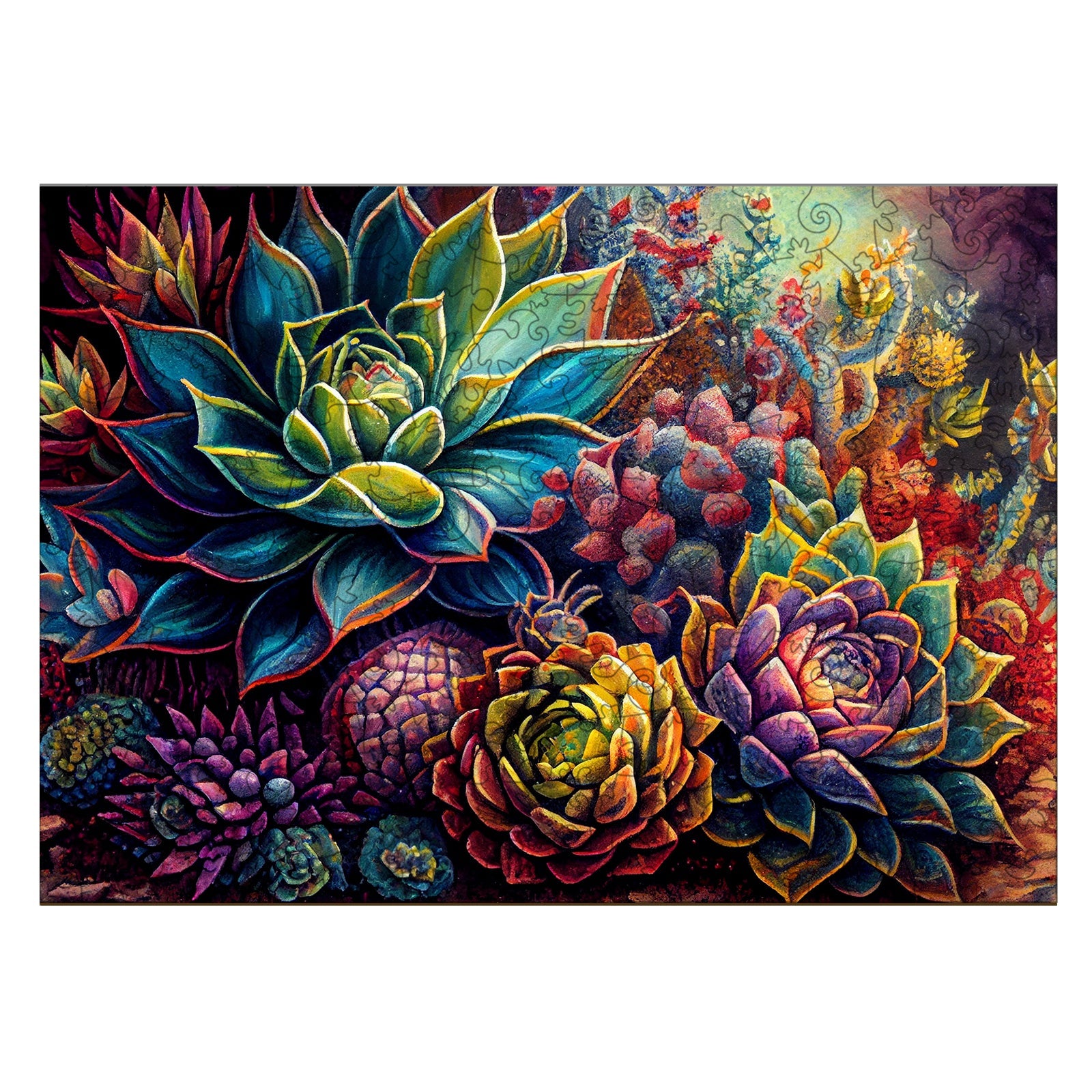 Succulent