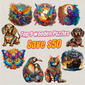 2025 Top 9 Wooden Puzzles Bundle in One Package
